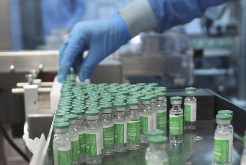 印度血清研究所 世界疫苗生產(chǎn)巨頭的核心技術困境